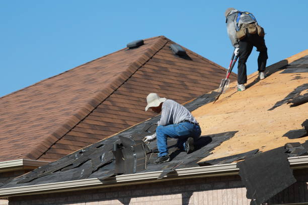 Best Roof Moss and Algae Removal  in Irmo, SC