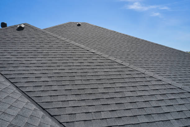 Best Roof Coating and Sealing  in Irmo, SC