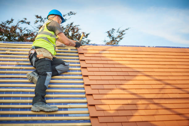 Best Gutter Installation and Repair  in Irmo, SC