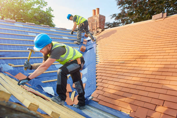 Best Solar Panel Roofing Installation  in Irmo, SC
